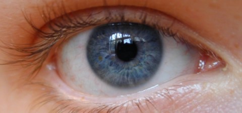 Μικροτσίπ υπόσχεται φυσιολογική όραση σε τυφλούς